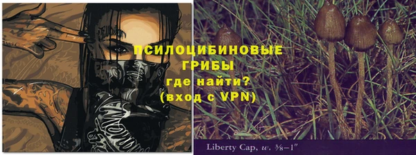 мет Алзамай