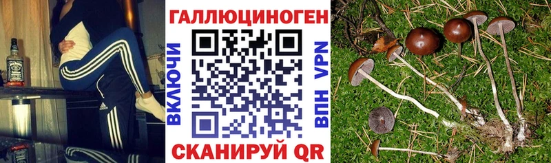 Псилоцибиновые грибы Cubensis ссылка на мегу ссылки Уяр